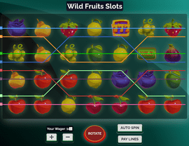 Wild Fruits